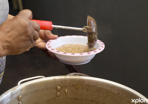 Rotary International Stanford Projects