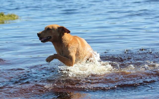 49590961_1974980979288404_2414747952317726720_n_1547038223_1568109409