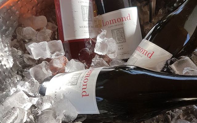 36702455_1728075077241980_6253453326206107648_n_1568148937