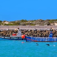 CABA (Cape Agulhas Business Association)