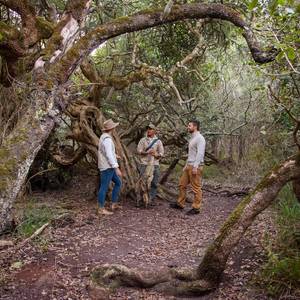 web_grootbos_experience_hikes_walks_04_1568274708