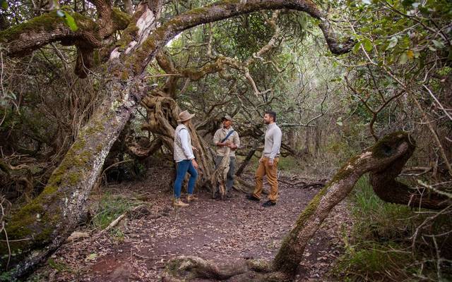web_grootbos_experience_hikes_walks_04_1568274708