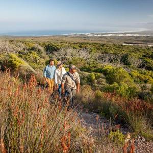 web_grootbos_experience_hikes_walks_07_1568274710