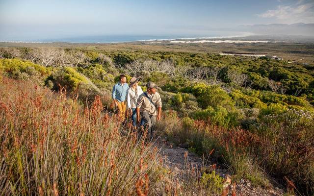 web_grootbos_experience_hikes_walks_07_1568274710