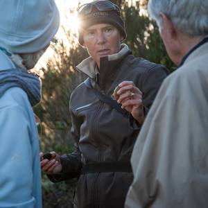 web_grootbos_experience_hikes_walks_08_1568274709