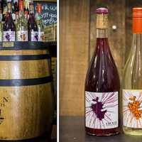 Hermanus - Wine & Company - Doran Wineyard