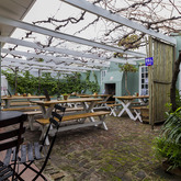 Hermanus - Wine & Company - Garden Area