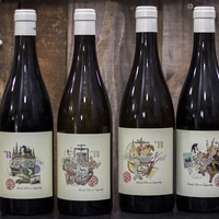 Hermanus - Wine & Company - Lukas van Loggenberg