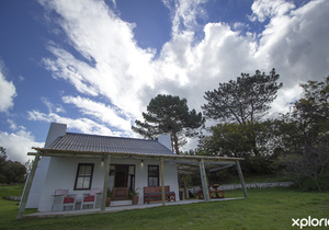 Guests Reviews (Part Two)