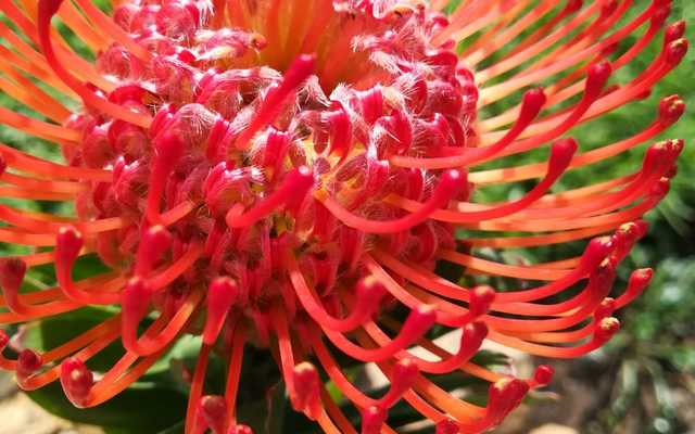 696dfecc_b63f_4187_a3d8_7867b5ef0ed1_1568791317