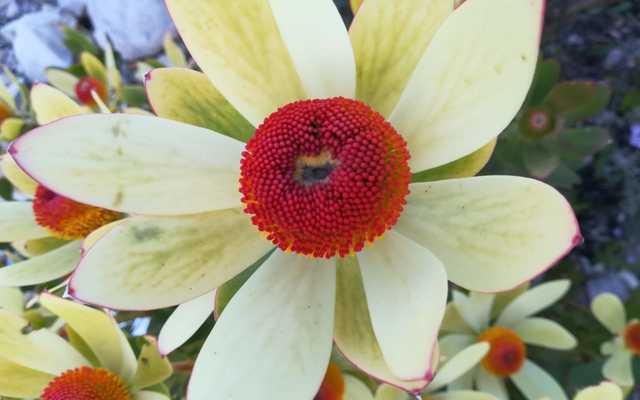 698196b6_4a3a_4628_97b4_8cd50c3f2d7b_1568791316