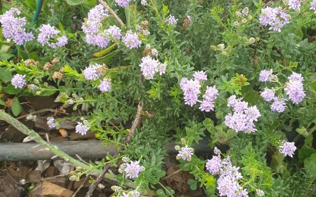 919f18bc_e8d9_4860_8dc6_c1a0a8bc202b_1568280652