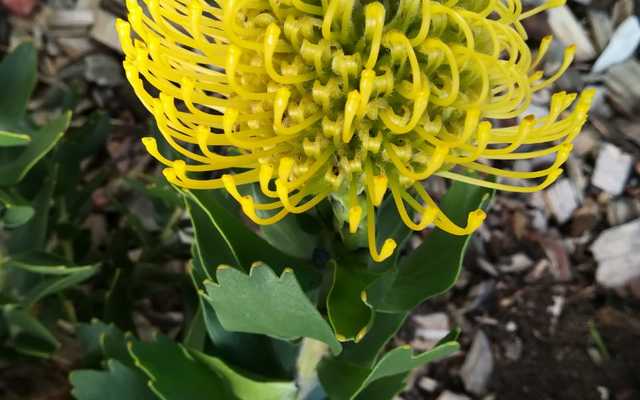 93c59926_5e66_4044_a4b0_854c3c1e0200_1568791318