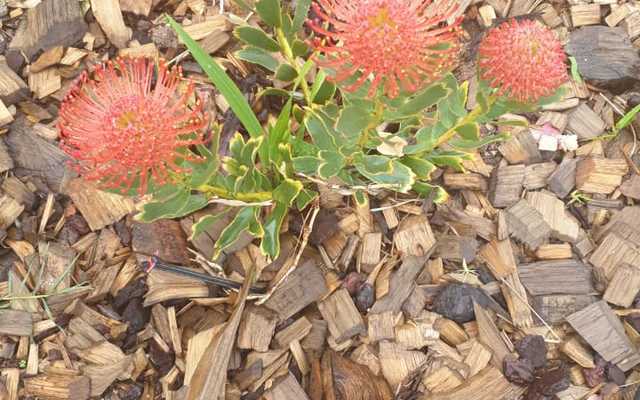 95807094_8fe6_4148_a0fe_75ea83006940_2__1568280654