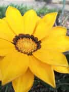 New Fynbos Garden at Fijnbos Lodge & Spa