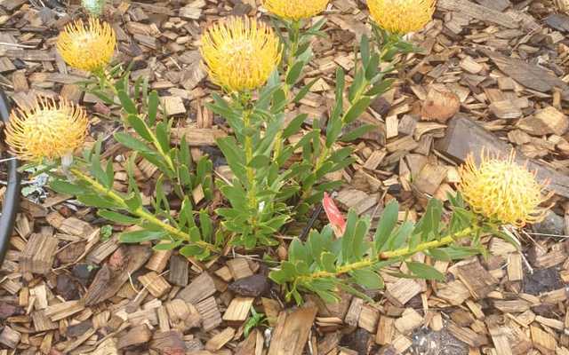 d2f7b5ac_44c7_472f_b9ed_3e22ac698f15_1568280655