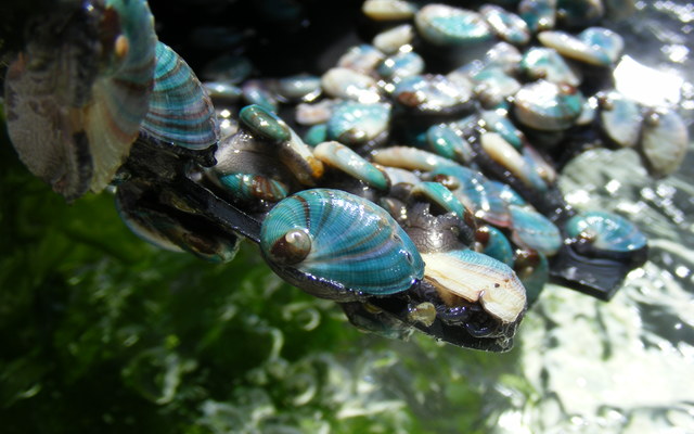 Weaning3_DSCF8259_1568283762