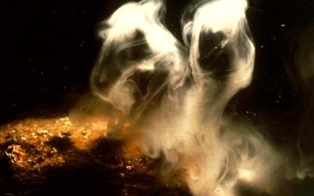 spawning_male_abalone_1568283179