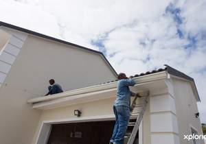 Reviews From Happy Clients