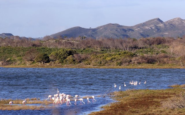 Gansbaai & Pearly Beach Horse Trails Gansbaai & Pearly Beach Horse Trails