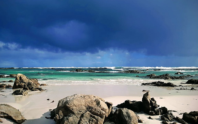 Gansbaai & Pearly Beach Horse Trails Gansbaai & Pearly Beach Horse Trails