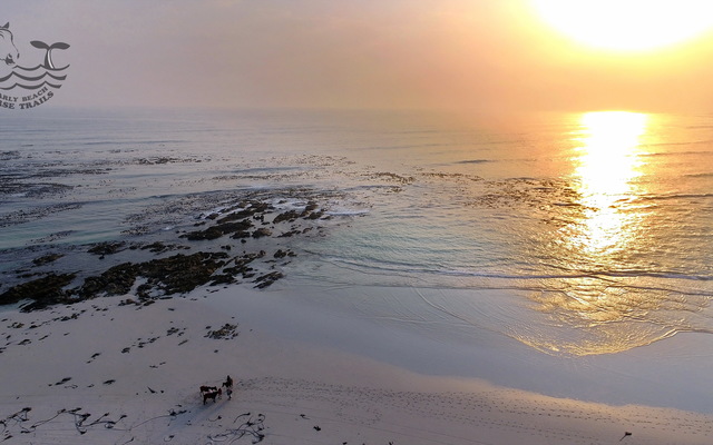 Gansbaai & Pearly Beach Horse Trails Gansbaai & Pearly Beach Horse Trails