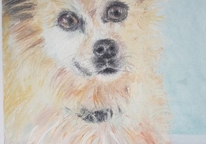 Small Pastel Dog Drawing