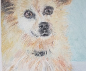 Small Pastel Dog Drawing