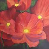 Pop Up Art Exhibition