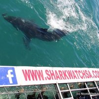 Photo of the day - A new mindset!