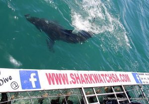 Photo of the day - A new mindset!