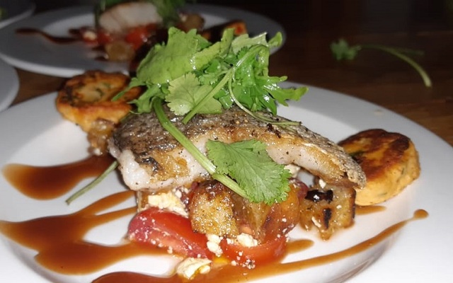 stoep_cafe_banner_1569234819 stoep_cafe_banner_1569234819