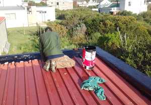 Recent Flooring & Painting Project