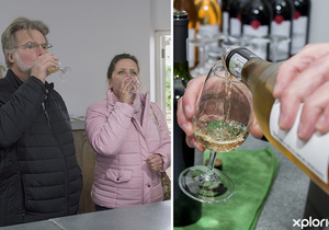 Wine Tasting @ Wine & Company