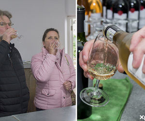 Wine Tasting @ Wine & Company