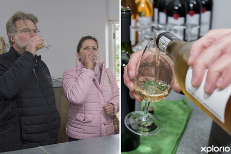 hermanus_wine_shop_wine_and_company_friday_free_wine_tastings_1568278365_1569495070