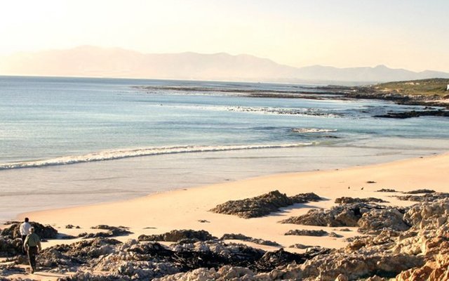 RB_Banner2_1569573707