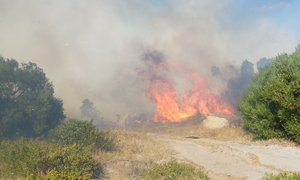 Rookwolke omring dorp