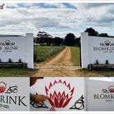 Bredasdorp - Star Signs - Laser Cut BLOMKLOOF 