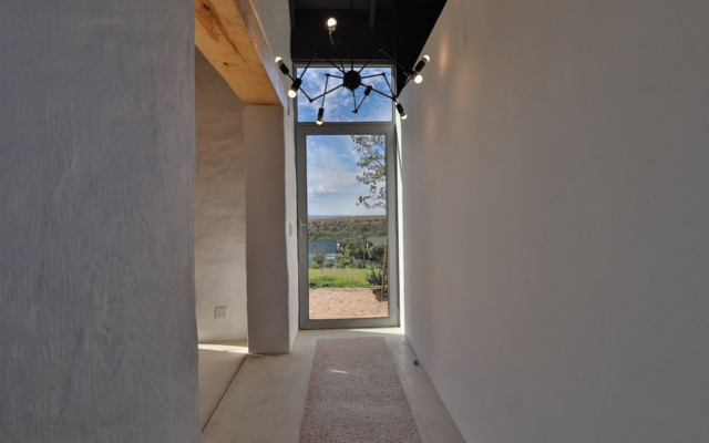 seeff_napier_1_1570171911