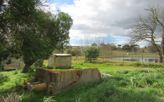 napier_seeff1_1570172879