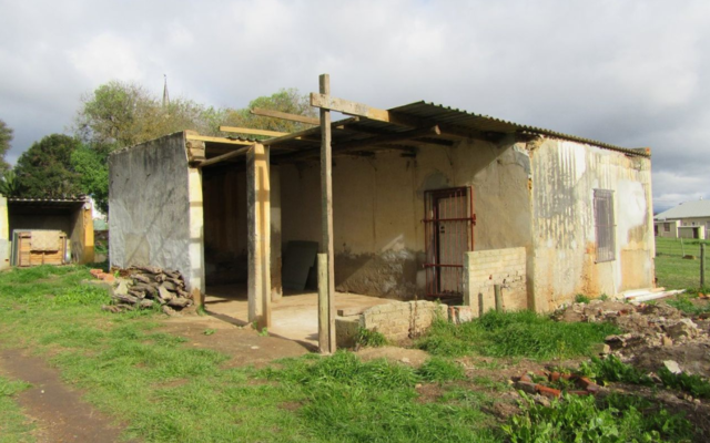 napier_seeff3_1570172881