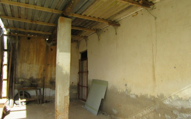 napier_seeff4_1570172882