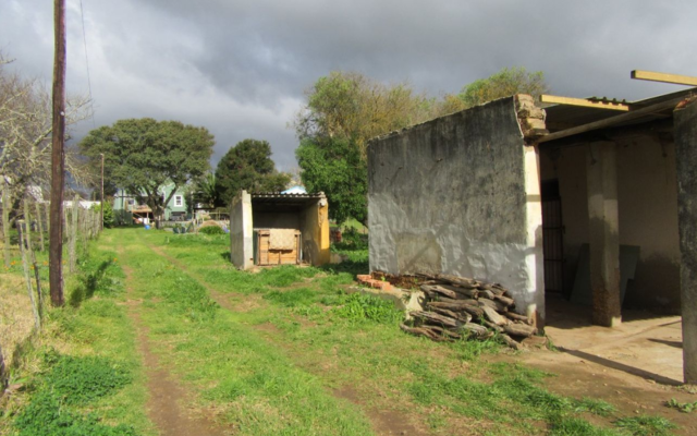 napier_seeff_1570172878