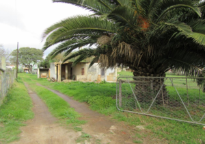 R495,000 | 1,000m² Vacant Land For Sale In Napier