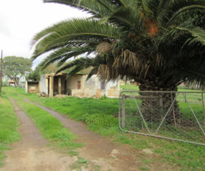 R495,000 | 1,000m² Vacant Land For Sale In Napier