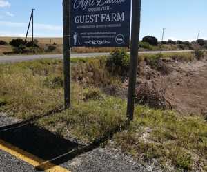 Thank you to our clients in Napier