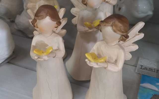 WhatsApp_Image_2019_10_09_at_12.41.03_1__1570692110