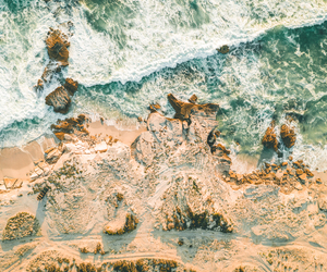 Southern Right Whales Migrate