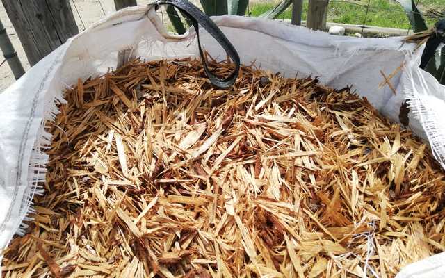 WhatsApp_Image_2019_10_11_at_11.28.57_1_1570800110